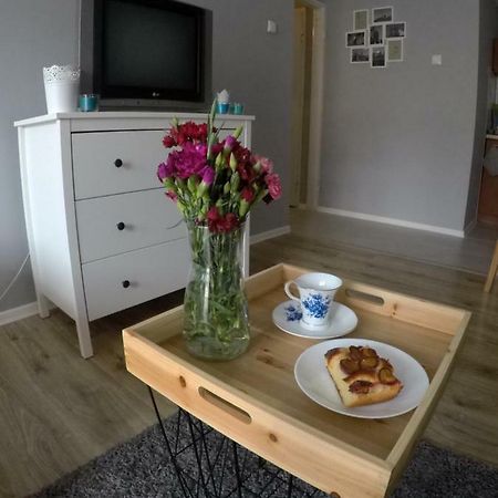 Mieszkanie W Centrum Sandomierz Dış mekan fotoğraf