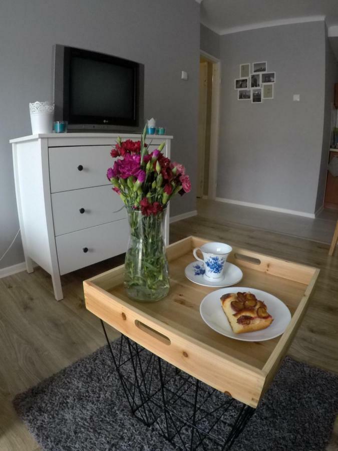 Mieszkanie W Centrum Sandomierz Dış mekan fotoğraf